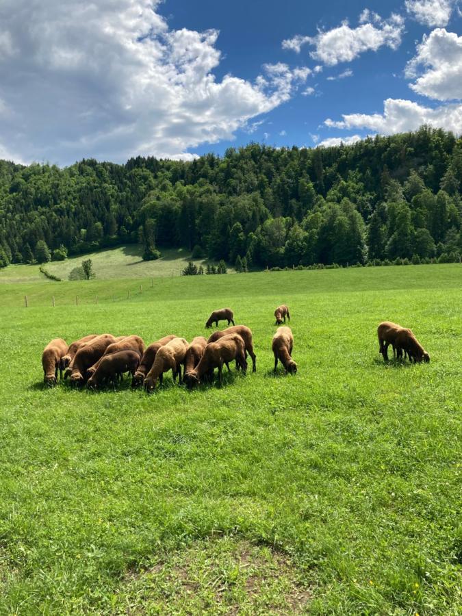 Haus Haslach Elsbethen Kültér fotó