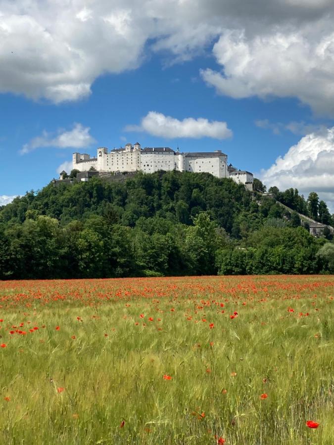 Haus Haslach Elsbethen Kültér fotó
