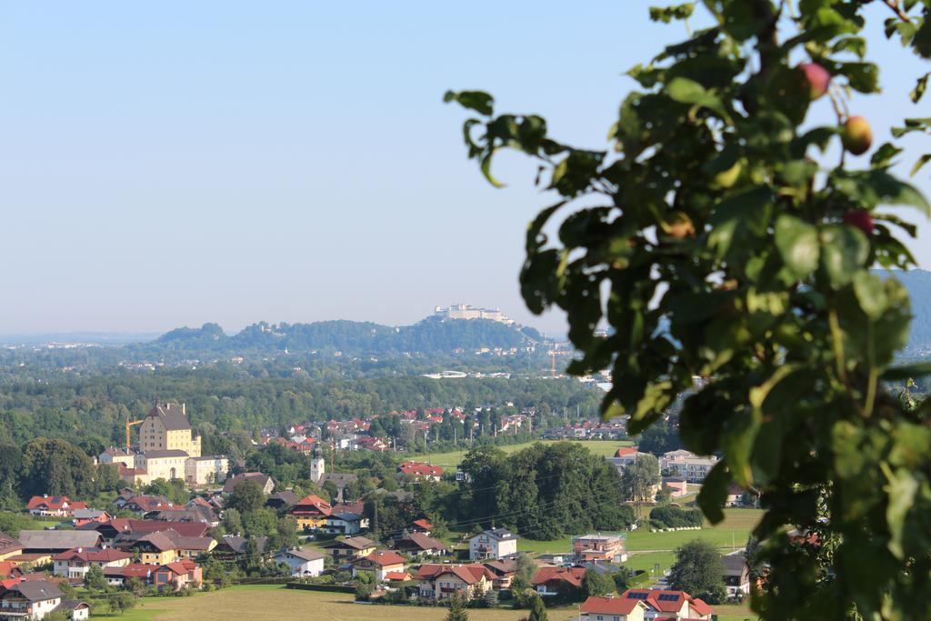 Haus Haslach Elsbethen Szoba fotó